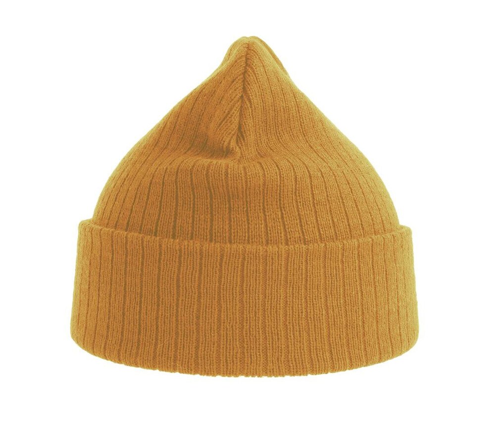 Atlantis AT208 - Gorro de poliéster reciclado