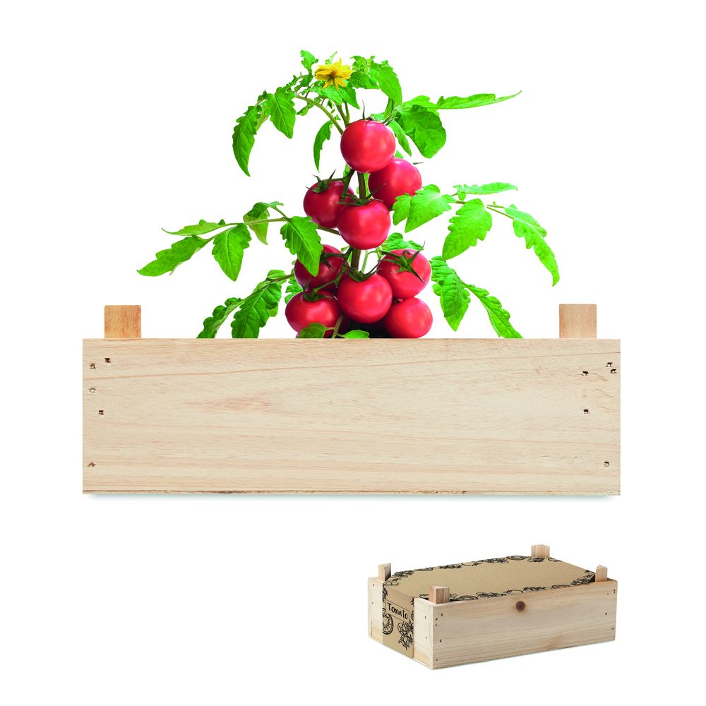 GiftRetail MO6498 - TOMATO Mini-huerto tomates en caja