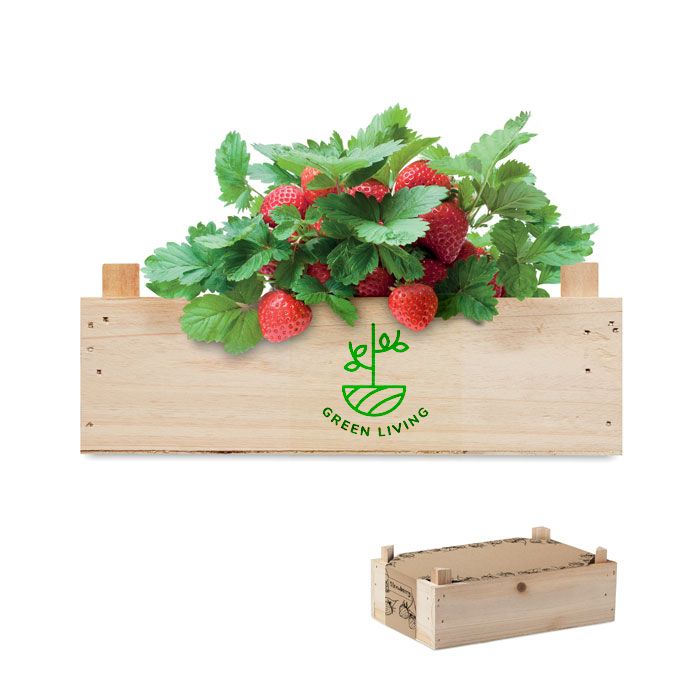 GiftRetail MO6506 - STRAWBERRY Kit de fresas en caja madera