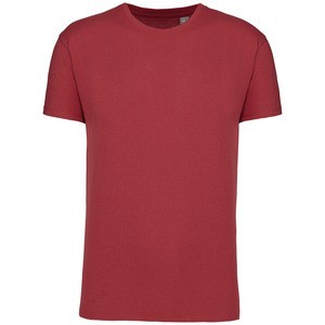 Kariban K3025IC - Camiseta BIO150IC hombre Terracotta Red