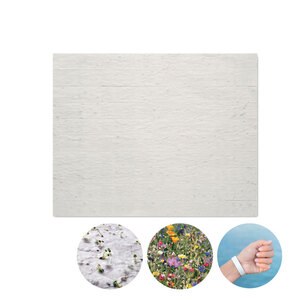 GiftRetail MO6907 - BANDSEE Pulsera de papel con semillas Blanco