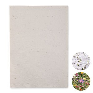 GiftRetail MO6914 - ASIDI Hoja A4 de papel con semillas Blanco