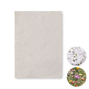 GiftRetail MO6916 - ASIDO Hoja A6 de papel con semillas Blanco
