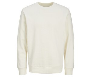 Blanco Egret