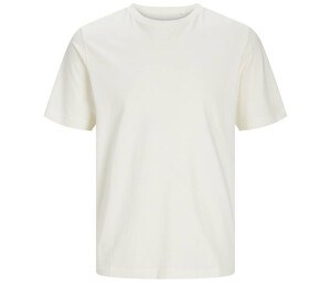 Blanco Egret